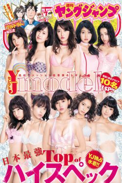 思美人 海青拿天鹅